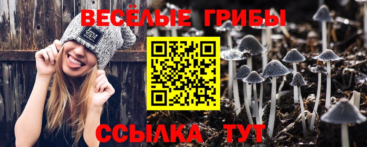Псилоцибиновые грибы MAGIC MUSHROOMS  Вход с VPN  Соликамск 